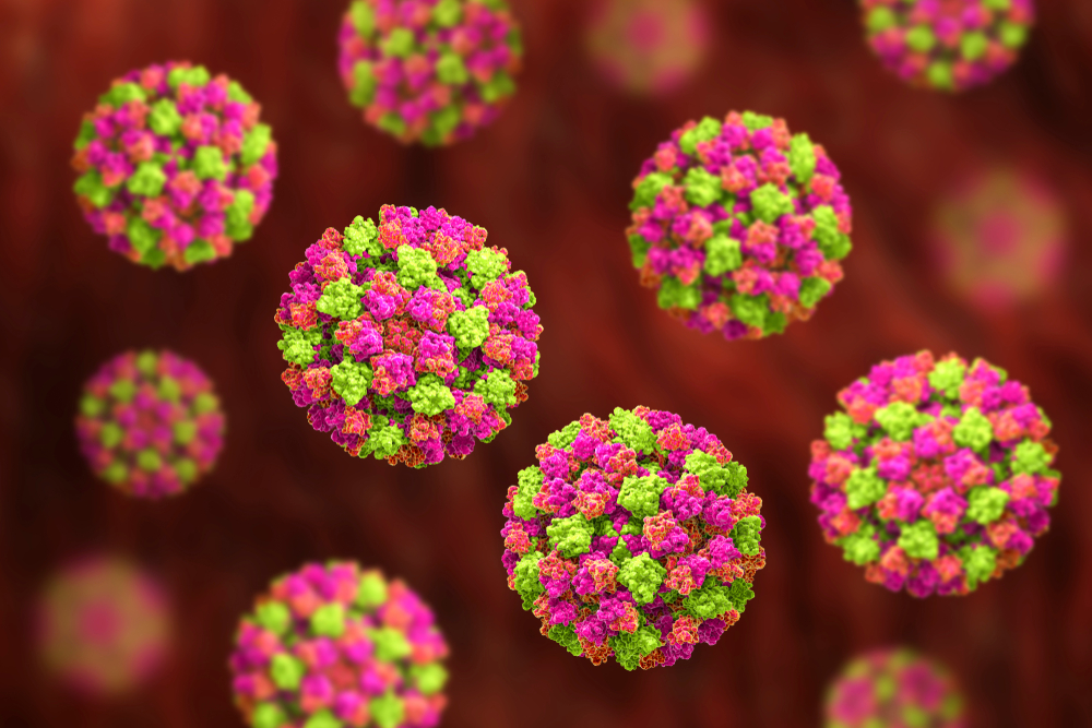 Norovirus-01.jpg